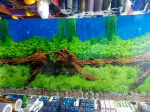 Aquarium Background - Driftwood and Greenery