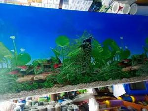 Aquarium Background - Plants