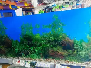 Aquarium Background 2ft Height