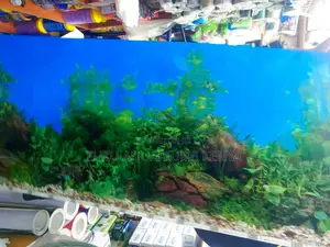 Aquarium Background 2ft Height