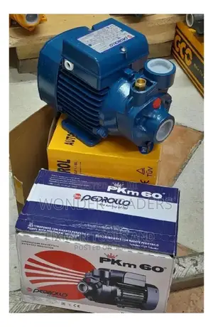 Pedroll Water Pump (0.5 Hp Pump)