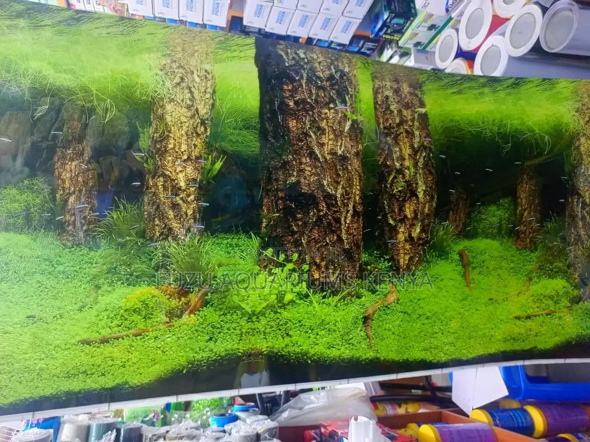 Aquarium Background - Nature
