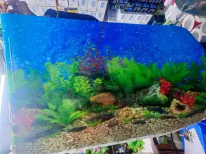 Background 2ft Height for Aquarium
