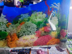 Bright Corals Aquarium Background