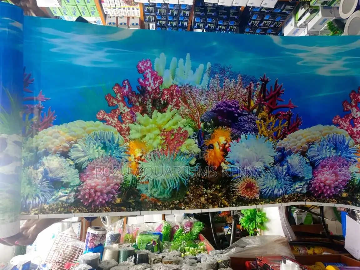 Bright Colored Coral Aquarium Background