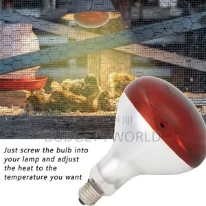 Affordable- Poultry,Chicken Bulb 250 Watts