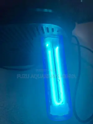 Canister Filter Pump External Pump