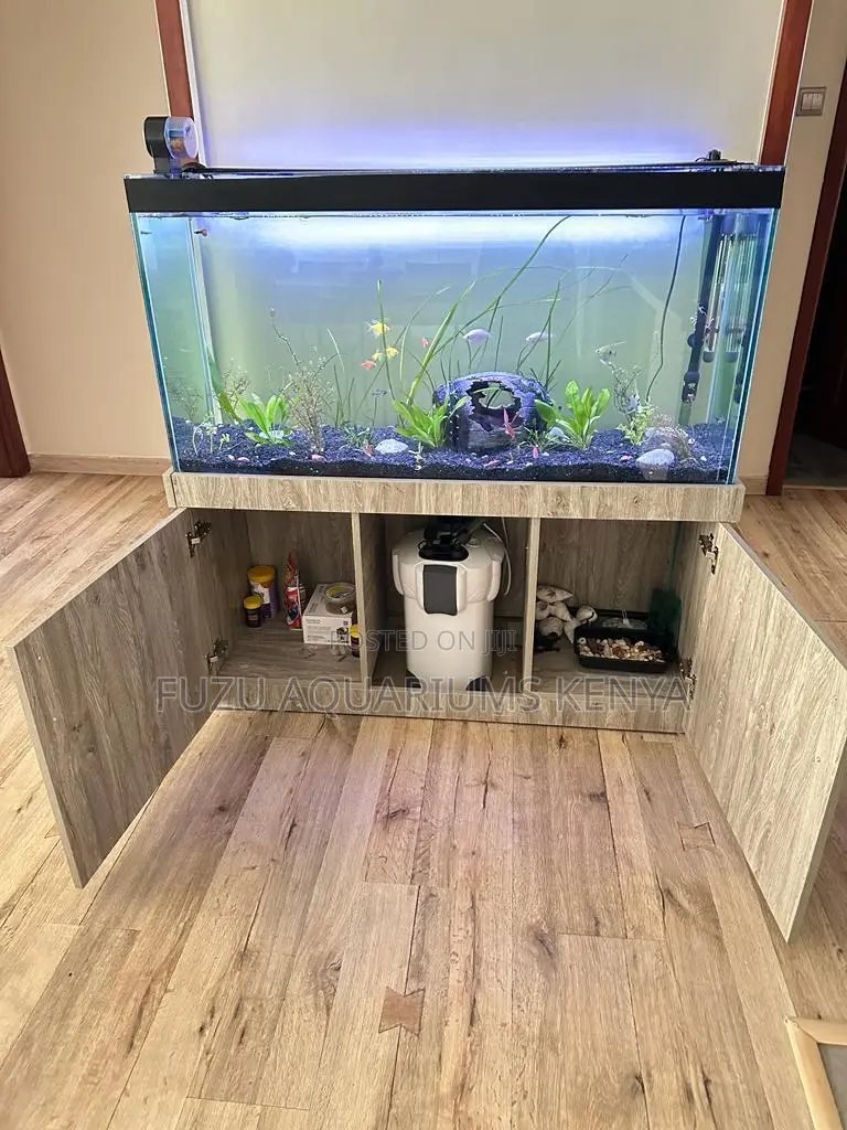 Aquarium Complete With All Accessories