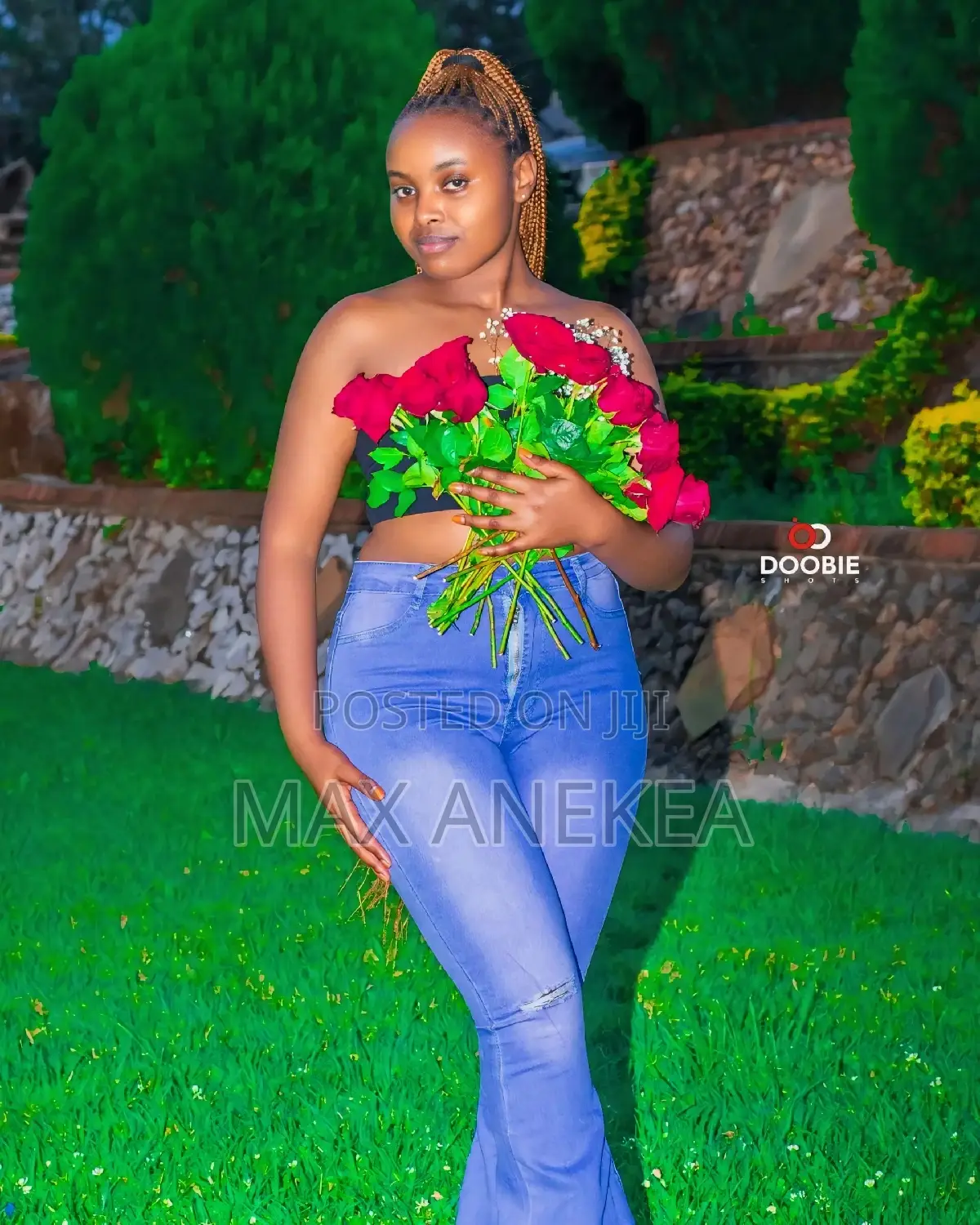 Graphics Designer Photographer