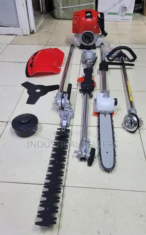 Marketable 5 in 1 Brush Cutter Available
