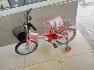 16" Kid Bike Lion King Size 16