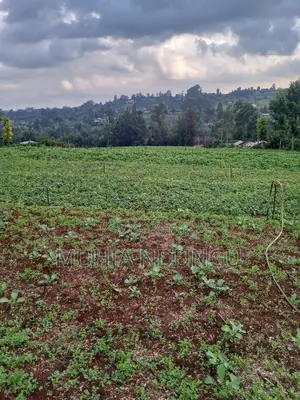Lower Kabete - Nyathuna 3.25 Acres