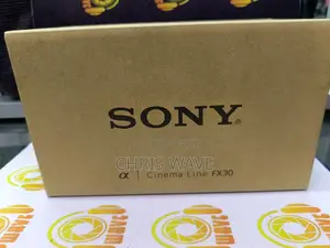 New Sony Cinema Line Fx30