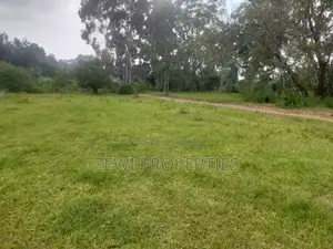 6 Acre's Karen