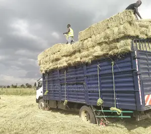 Boma Rhodes Hay Price Ranges