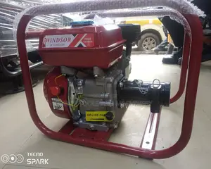 Windsor Poker Vibrator