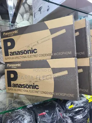 Panasonic Boom Mic Condser Microphone