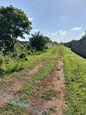 Prime Plot in Baobab Diani