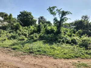 Prime Plot in Baobab Diani