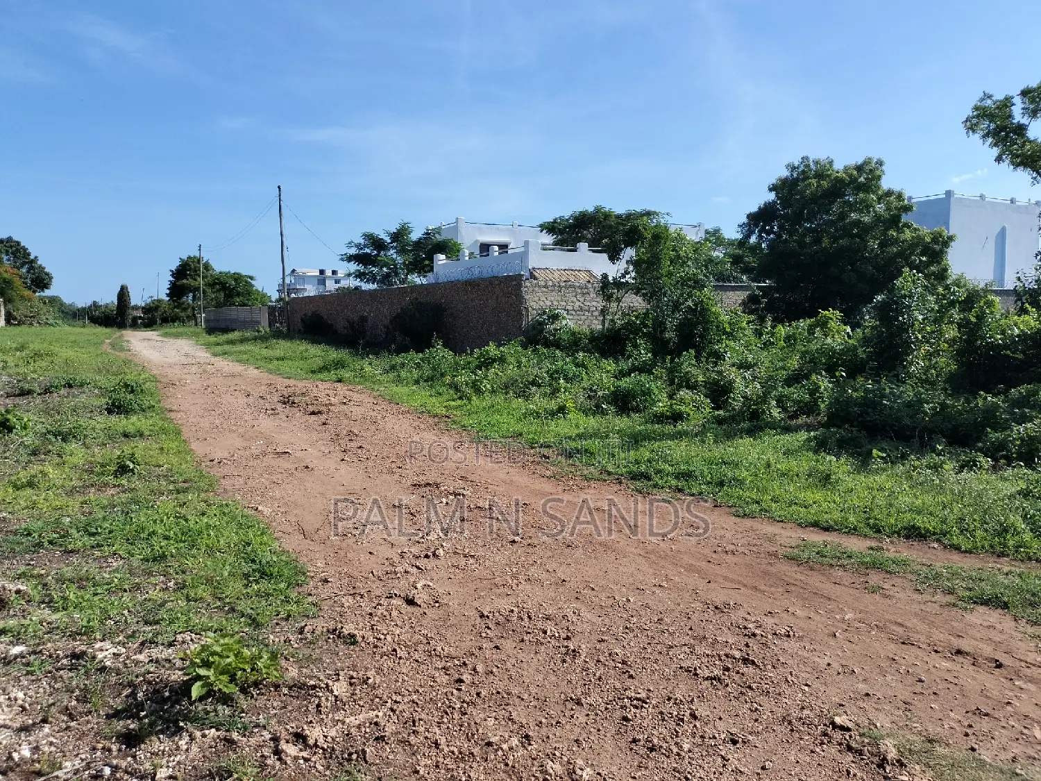 Prime Plot in Baobab Diani