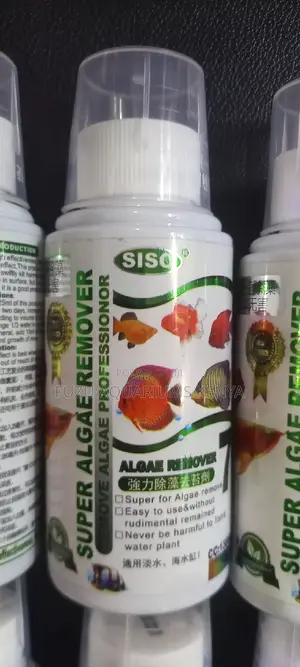 Siso Algea Remover