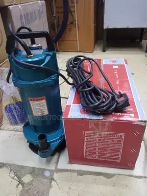 Sewage Pump 1.0hp Premier