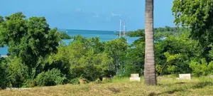 Serena, a Prime 3.7 Acre Creek Beach Plot for Sale