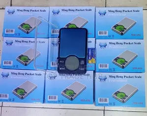 Professional 0.01g×600g Pocket Scale