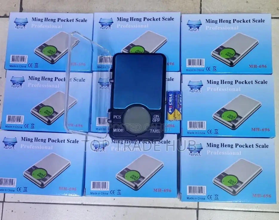 Professional 0.01g×600g Pocket Scale