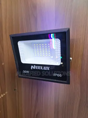 Neelux 30w Floodlight