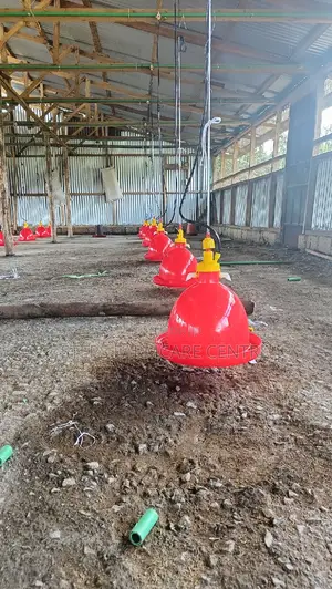 Automatic Bell Poultry Drinkers