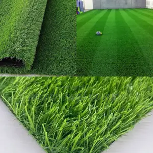 Grass Carpets Grass Carpets Grass Carpets