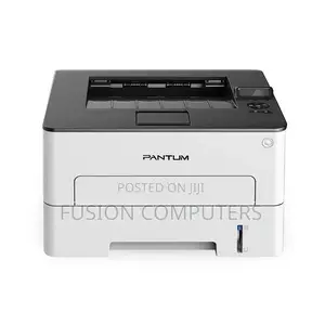 Pantum P3010DW Mono Laser Single Function Printer