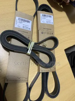 Volkswagen Audi Fun Belt