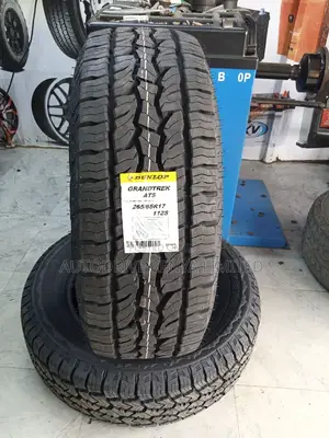 265/65r17 Dunlop All-Terrain Tire