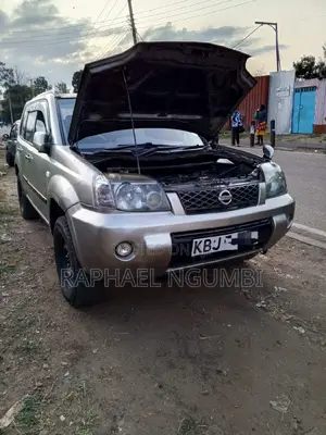 Nissan X-Trail 2003 Silver