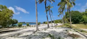 Serena,Prime Commercial 4-Acre Beachfront Plot for Sale