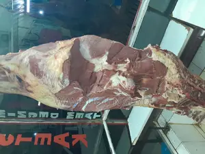 Quality Beef Meat
