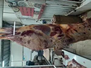 Quality Beef Meat