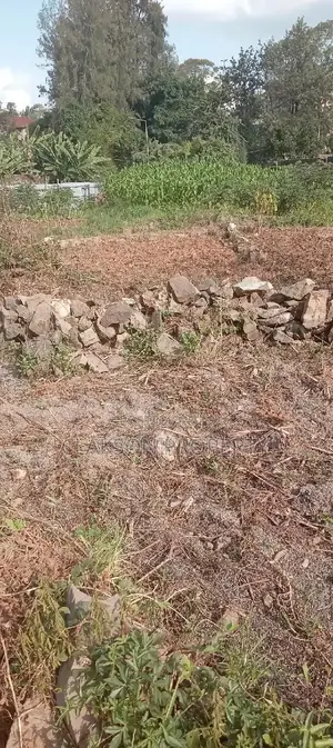 Plot for Sale