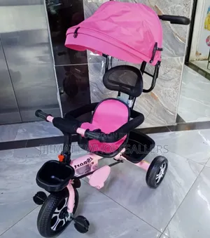 Push Tricycle With Canopy and Side Bars in All Colours