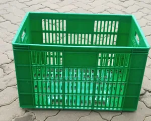 Polyair 360 Double Crate for Transporting Tomatoes.