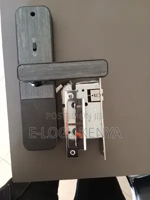 Safe and Sound.Boimetric Locks Redefine Security Measures