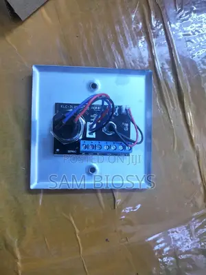 Double Magnetic Lock