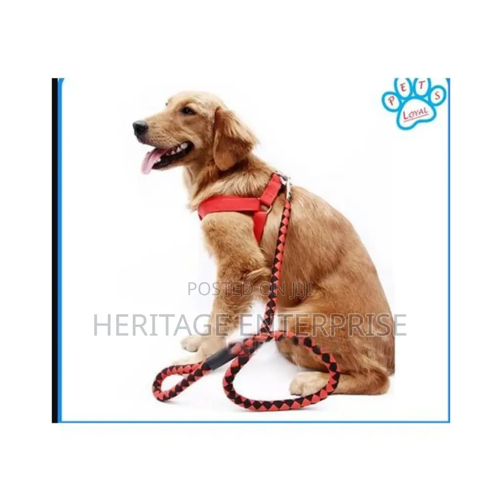 Dog Leash ,Double Layer