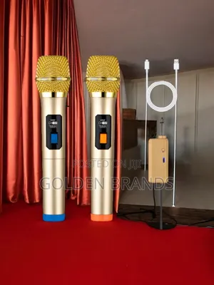 Dynamic 2pcs Wireless Microphone Handheld + Receiver