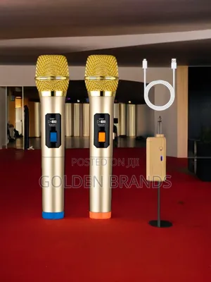 Powerful Wireless Microphone 2 PCS + Rechargeable Receiver