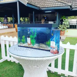2ft Fish Tank Aquarium Fish