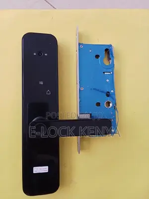 Smart Solutions.Biometric Wifi Door With RFID