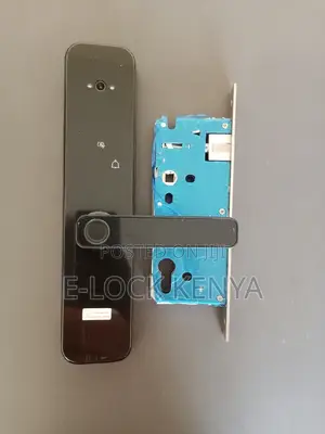 Security Entry.Smart Biometric Wifi Door Locks